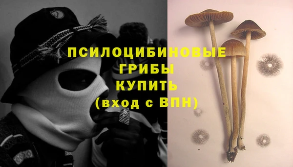 гидра Баксан