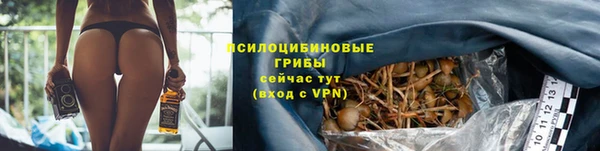 гидра Баксан