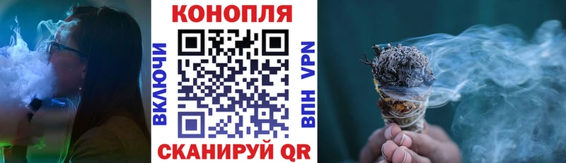 где купить наркотик  Туринск  Каннабис семена 